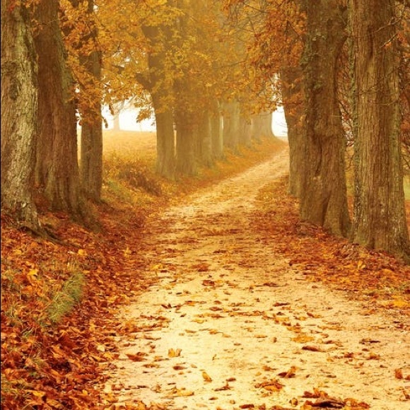 Meet your Posher, Carley - Picture 1 of 1